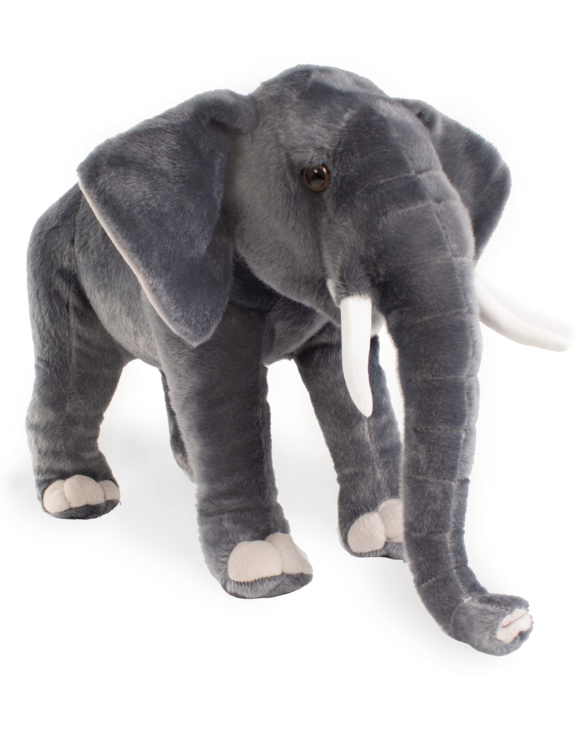 Amazon.com: Real Planet 17.5